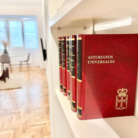 Daire Atico Duplex En El Corazon Del Casco Historico De Oviedo