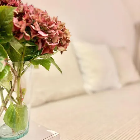 Atico Duplex En El Corazon Del Casco Historico De Oviedo